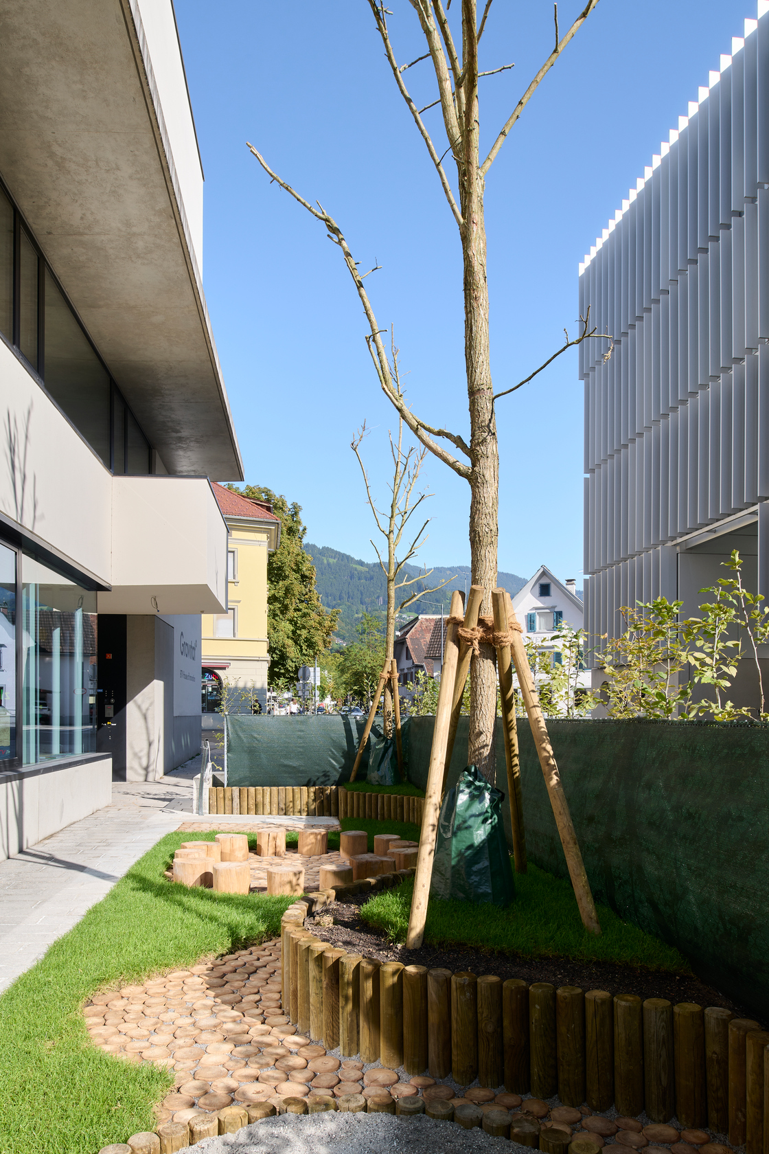 Ein Foto von Lukas Schaller