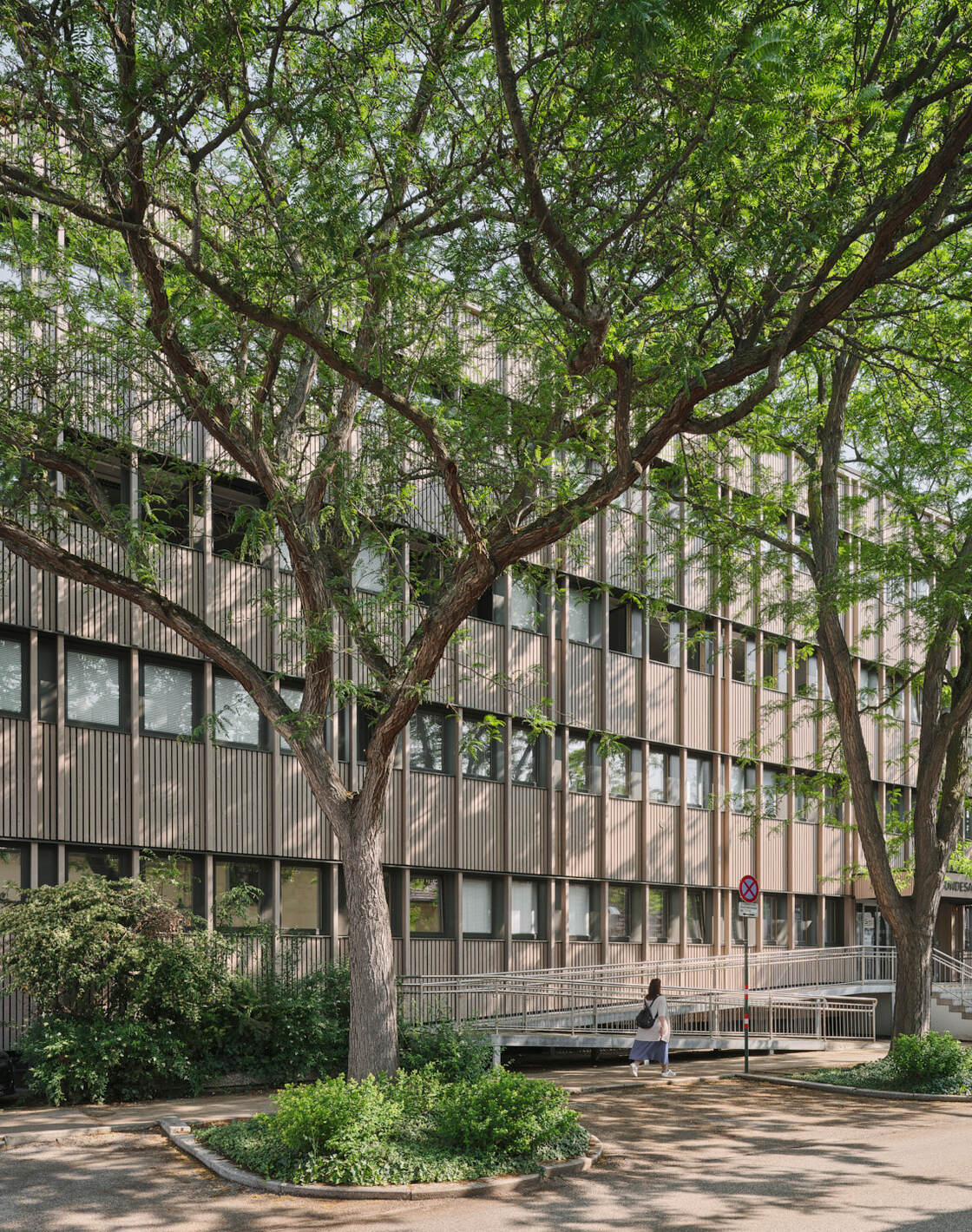 Ein Foto von David Schreyer