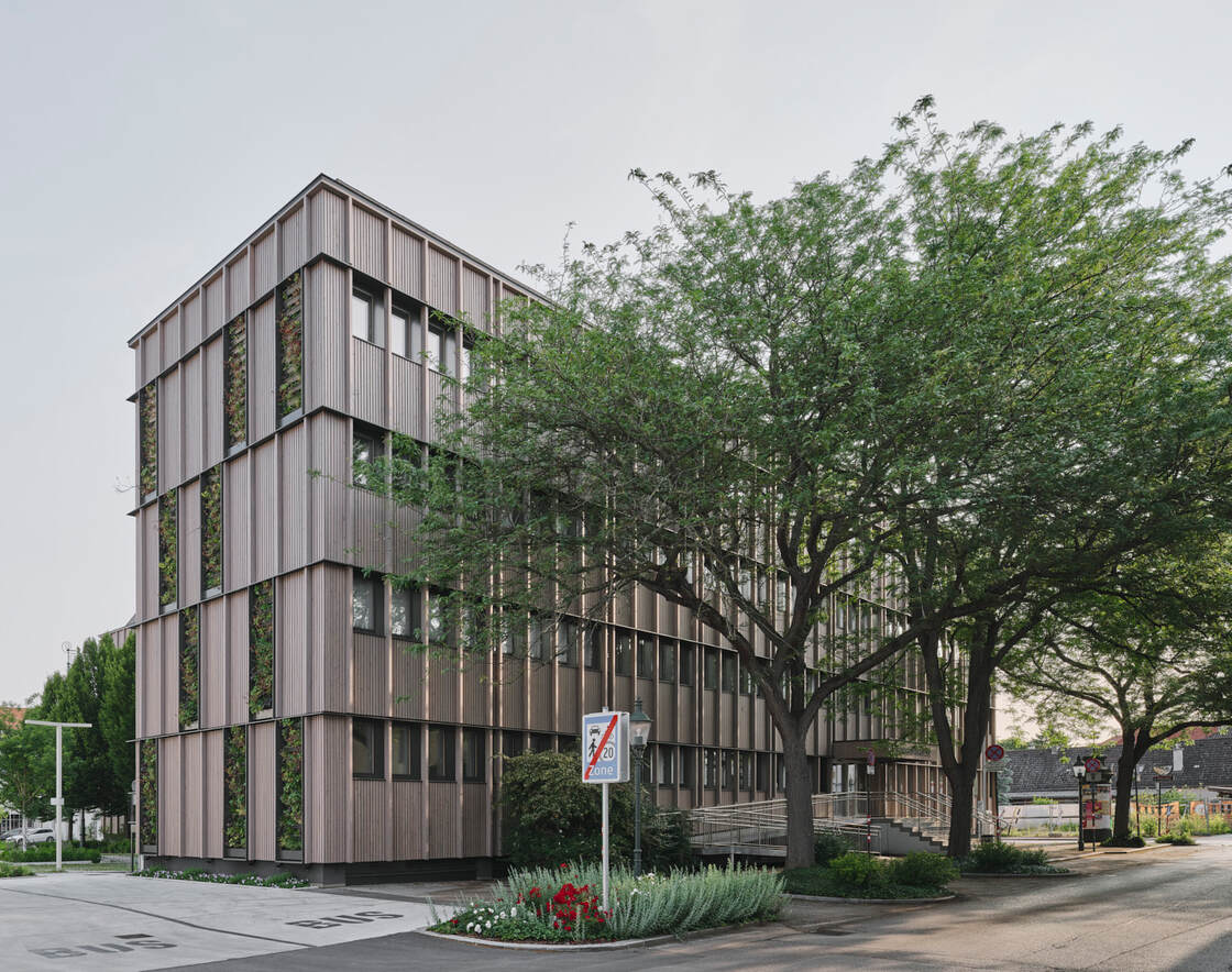 Ein Foto von David Schreyer