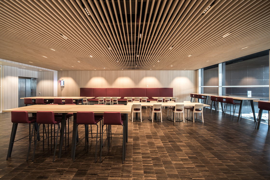 Ein Foto von Birgit Koell