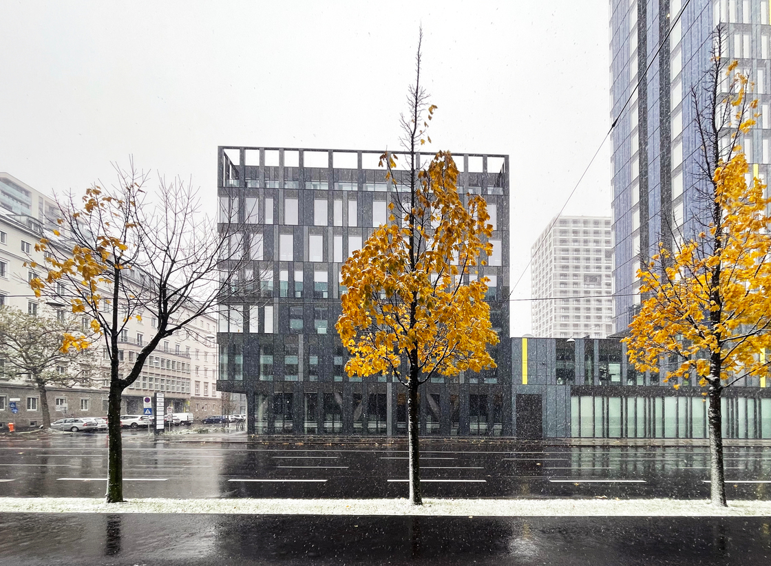 Ein Foto von Dietmar Tollerian