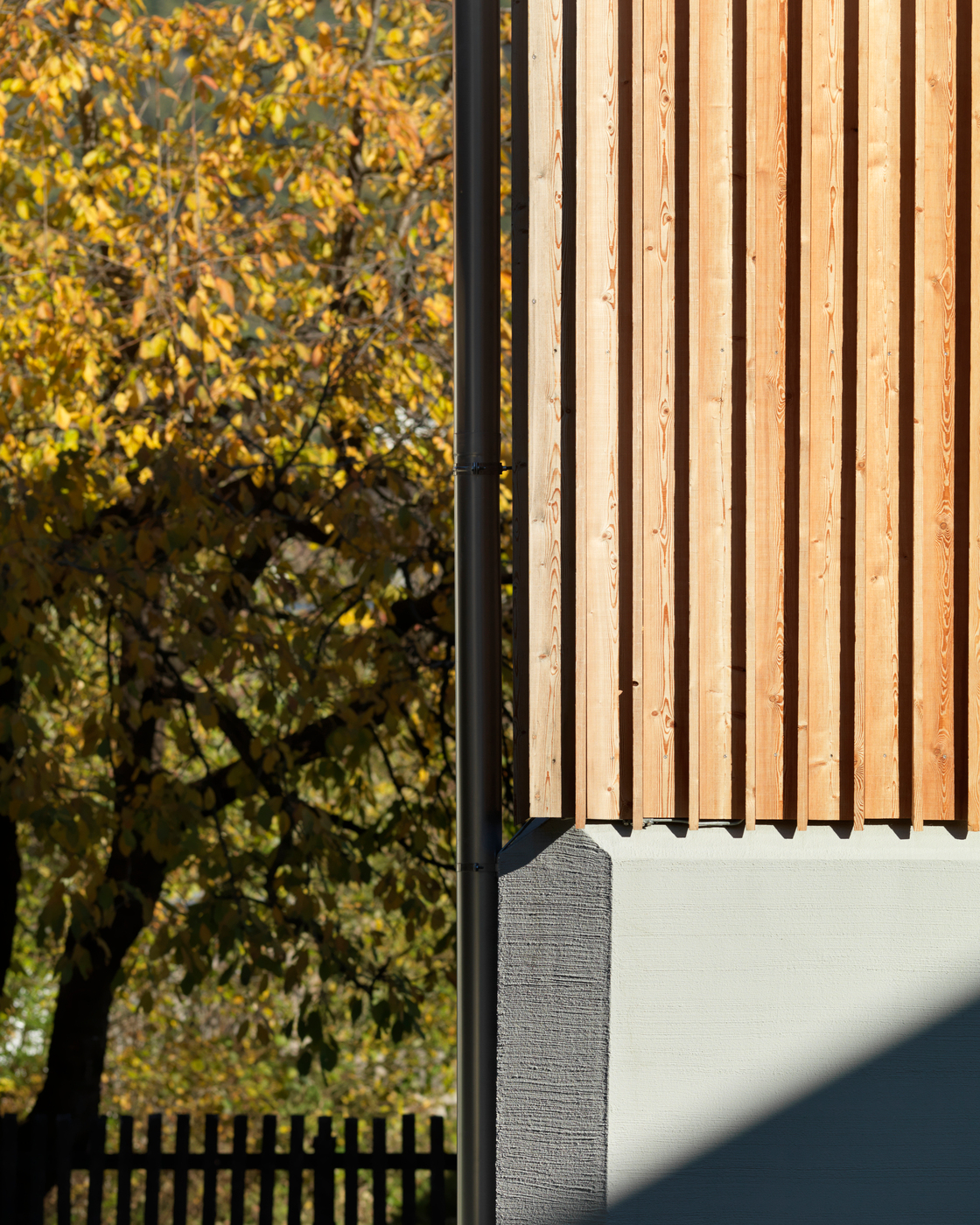 Ein Foto von Philipp Simon