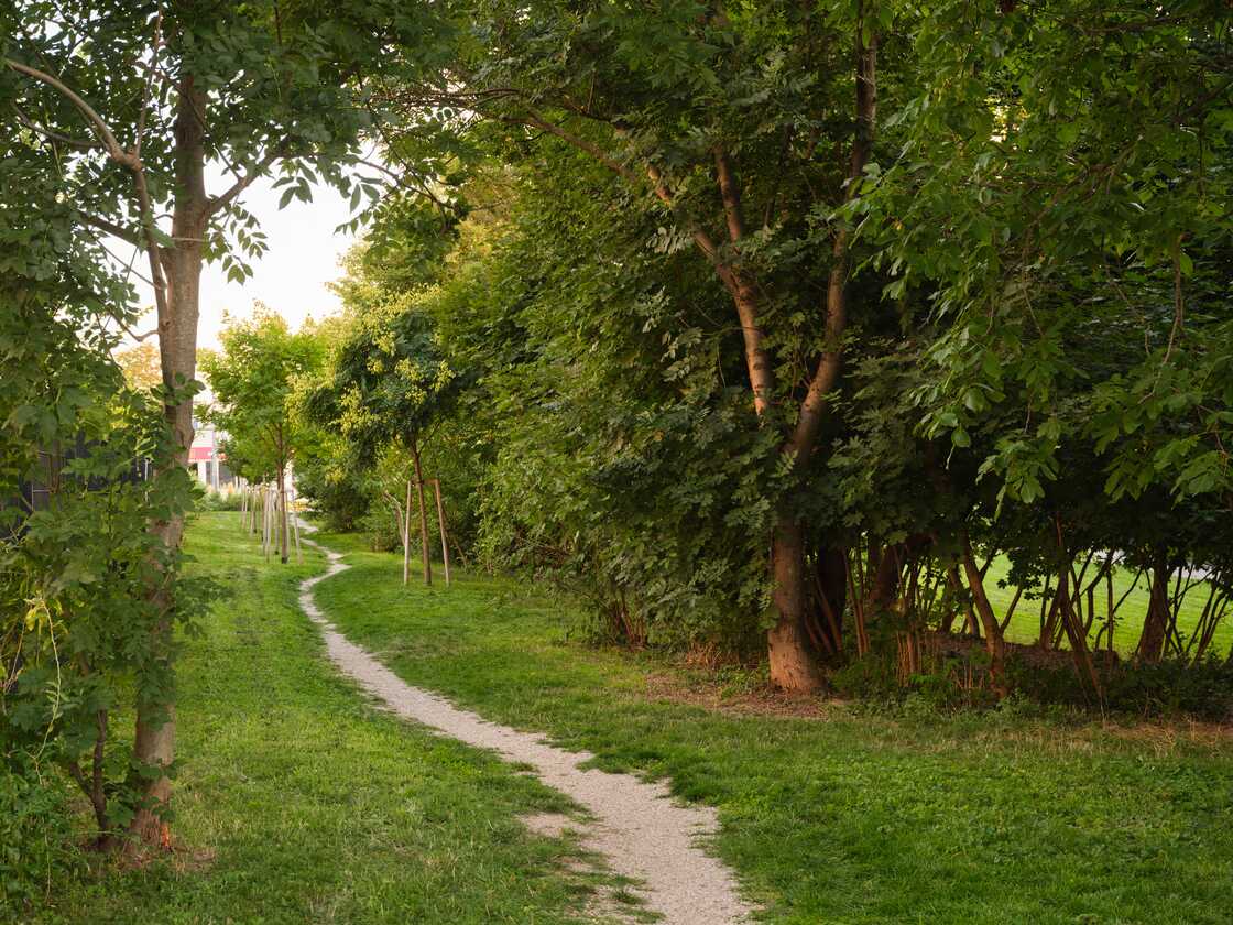 Ein Foto von Johannes Hloch