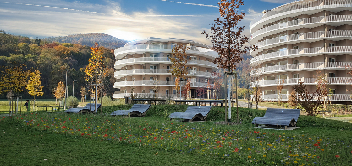 Ein Foto von Agnes Fedl