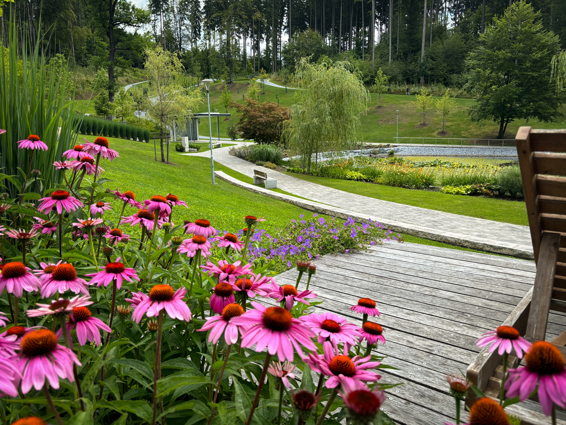 Ein Foto von Agnes Fedl