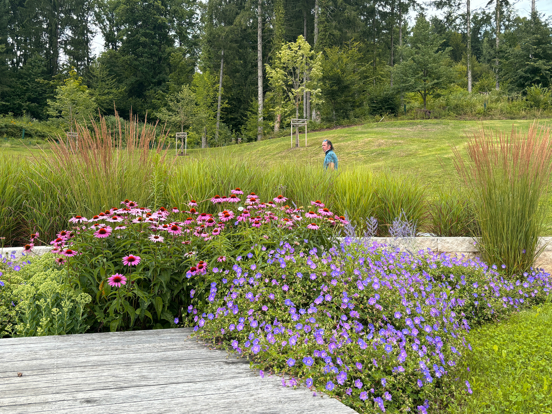 Ein Foto von Agnes Fedl