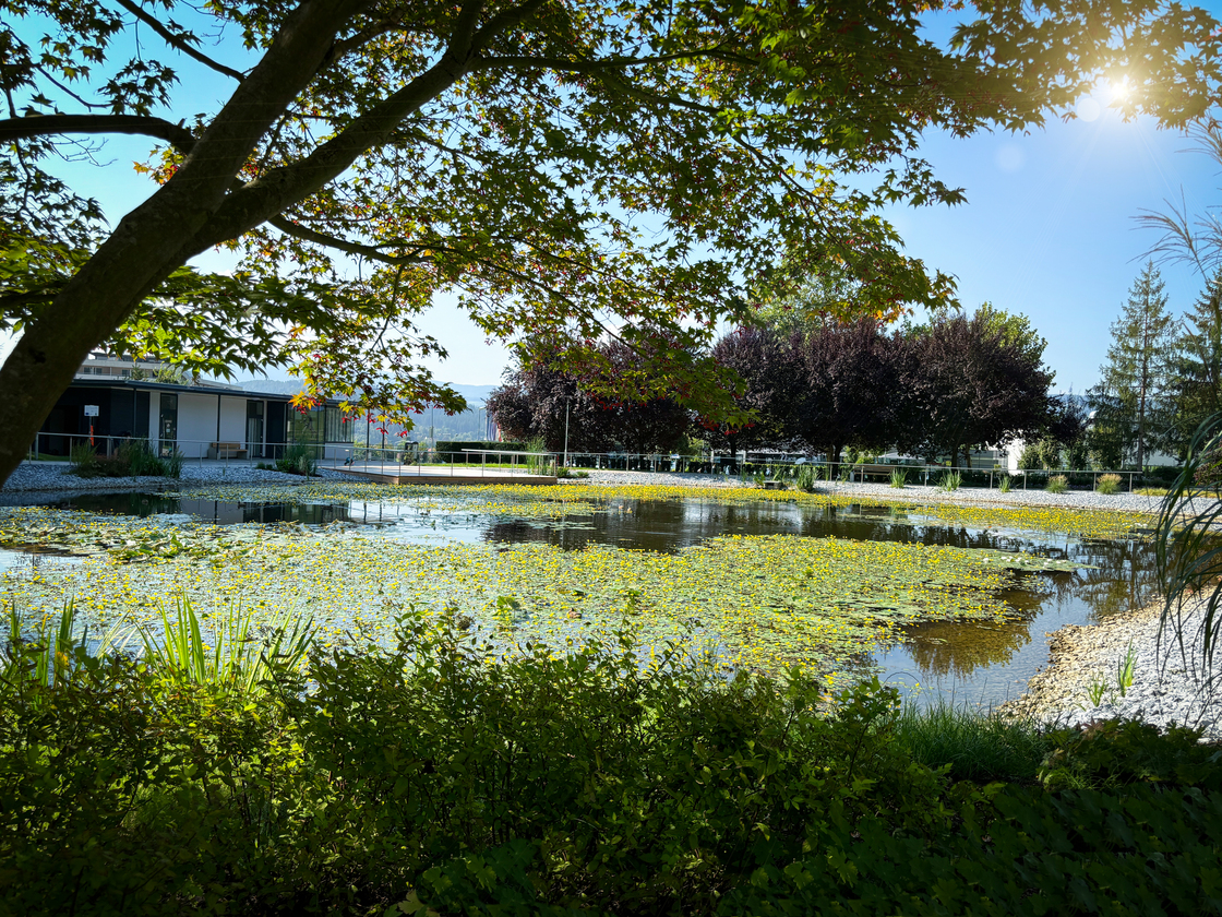 Ein Foto von Nikolaus Fedl