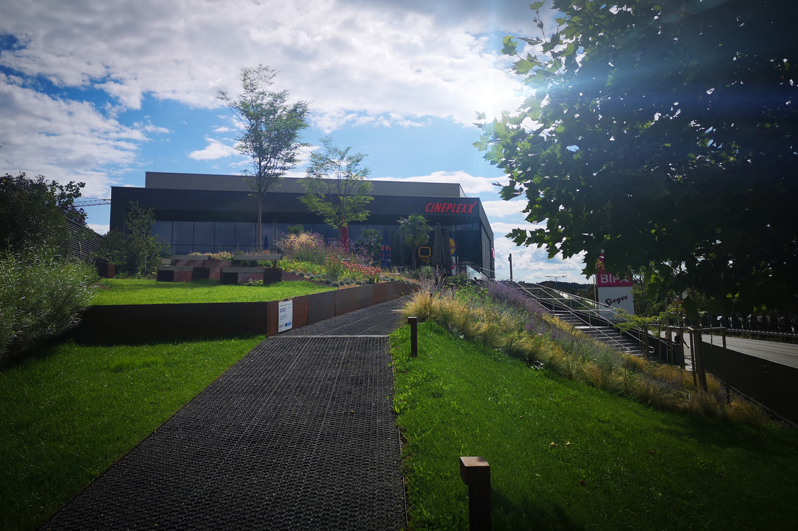 Ein Foto von Agnes Fedl