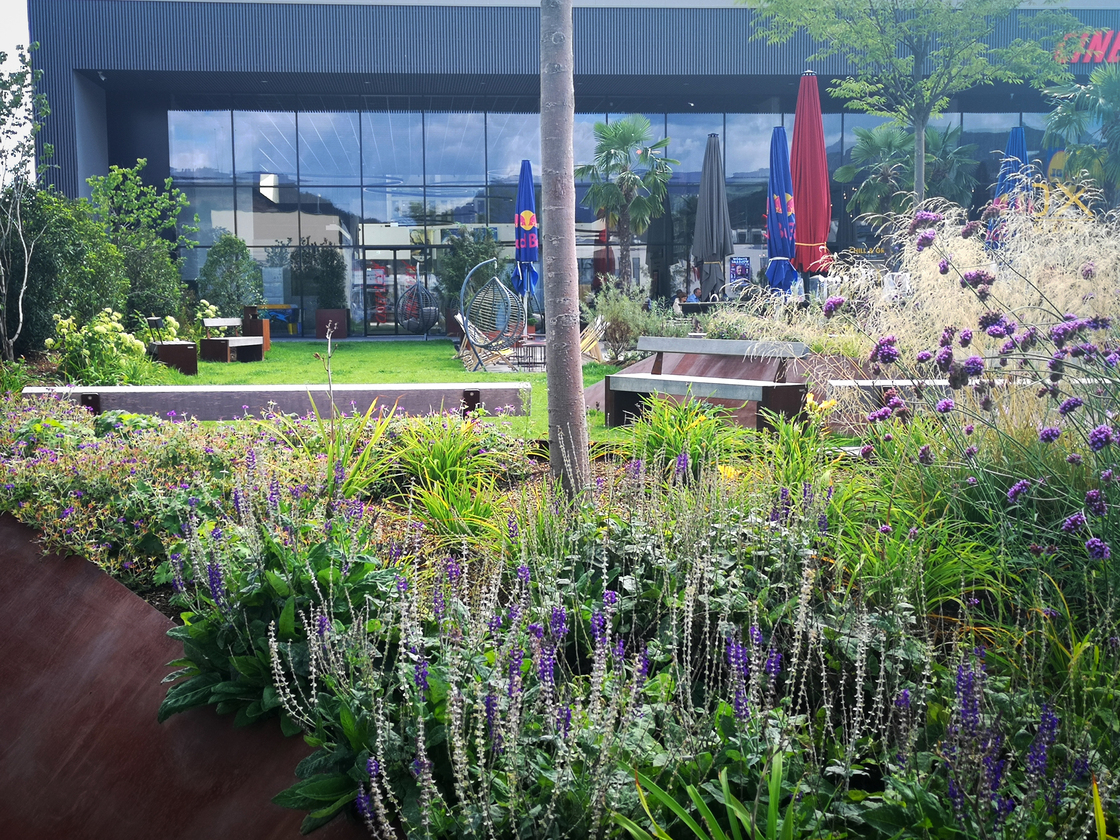 Ein Foto von Agnes Fedl