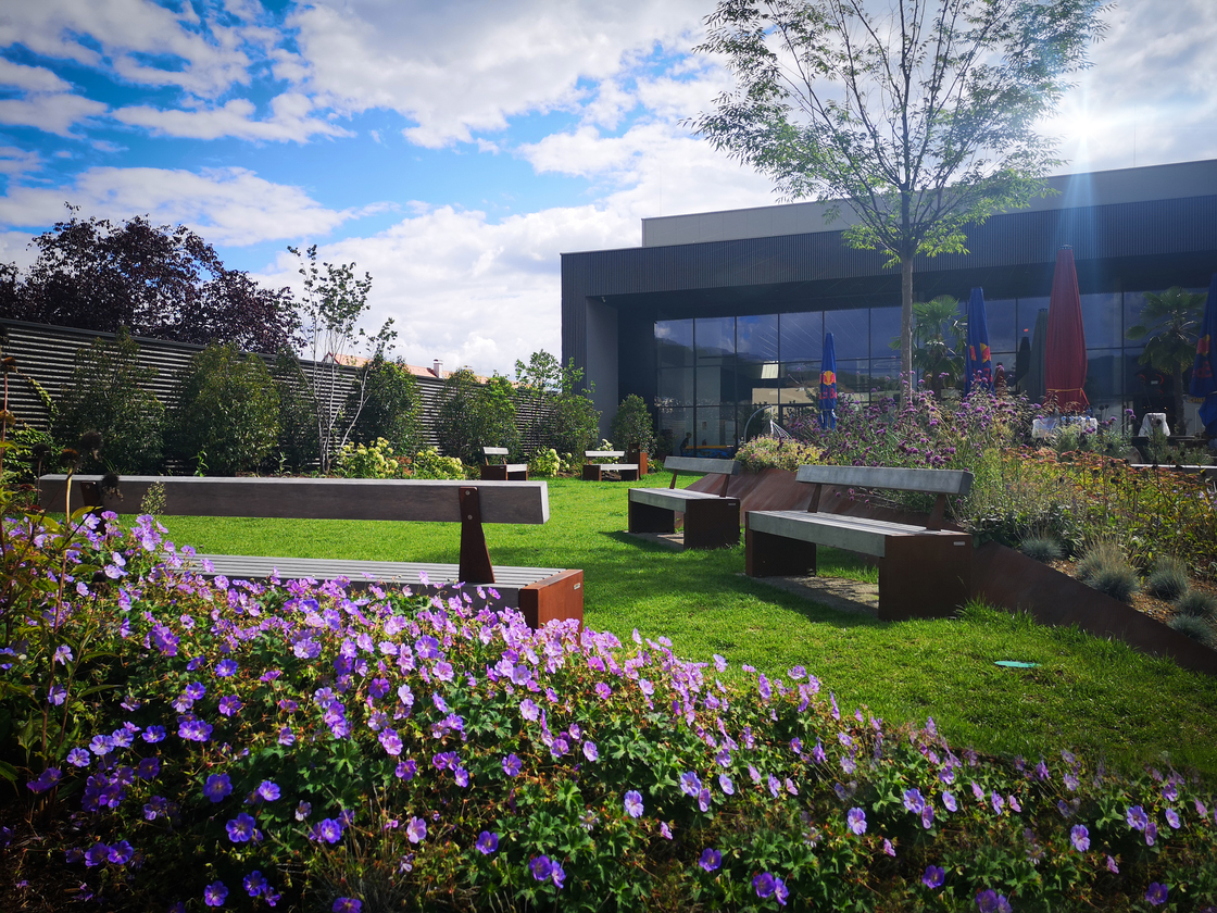 Ein Foto von Agnes Fedl