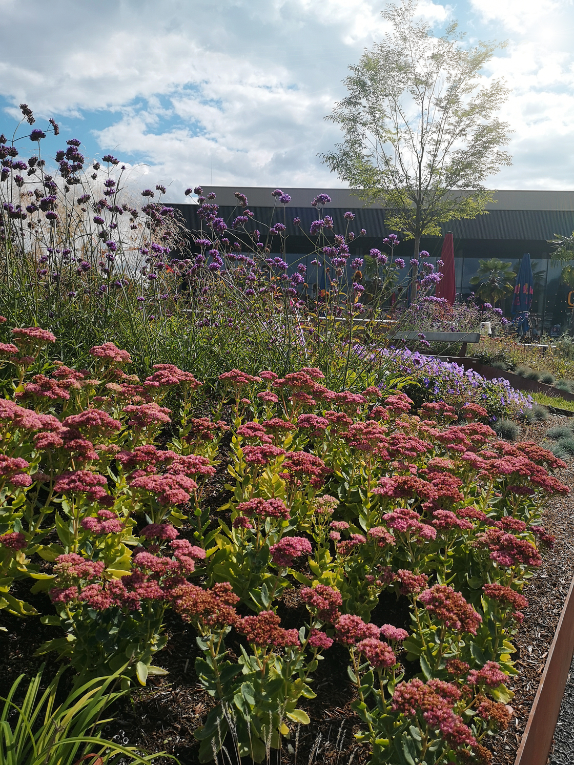 Ein Foto von Agnes Fedl