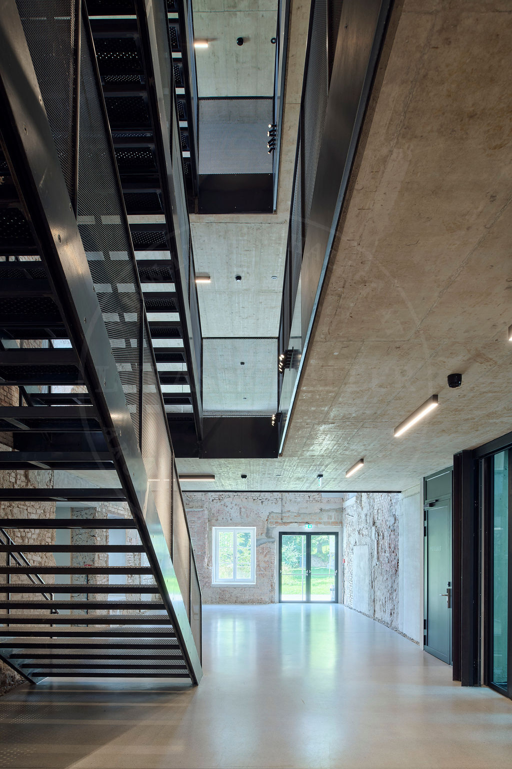 Ein Foto von Lukas Schaller