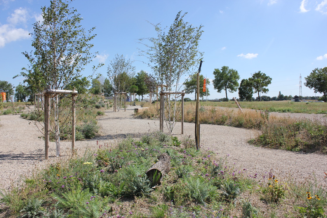 Ein Foto von Karin Standler