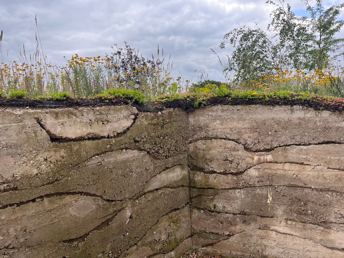 Ein Foto von Karin Standler