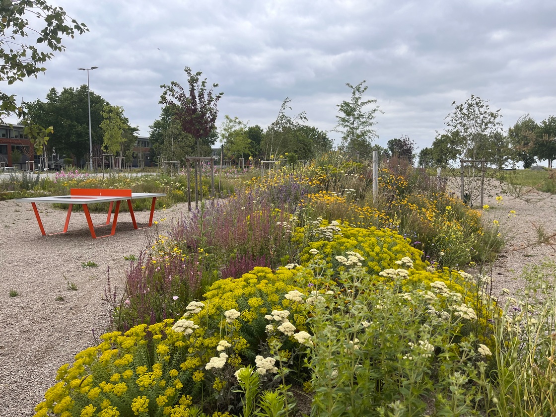 Ein Foto von Karin Standler