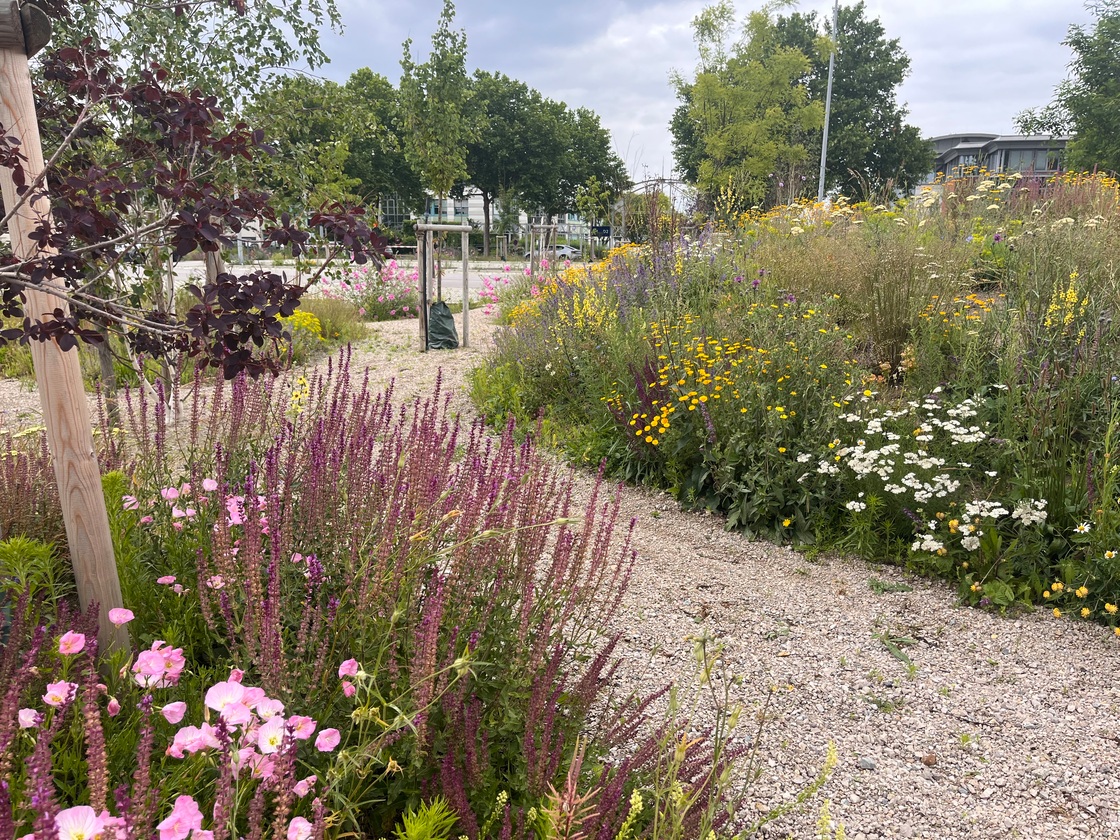 Ein Foto von Karin Standler