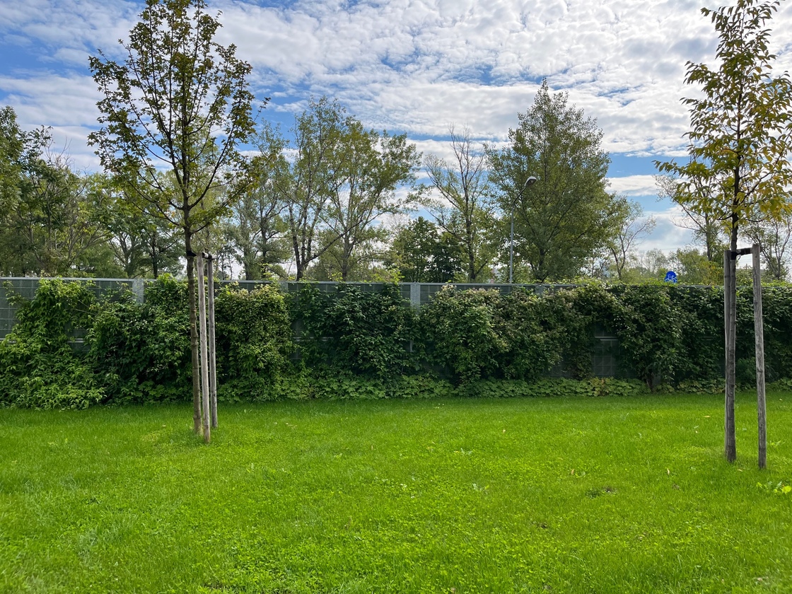 Ein Foto von Erik Meinharter