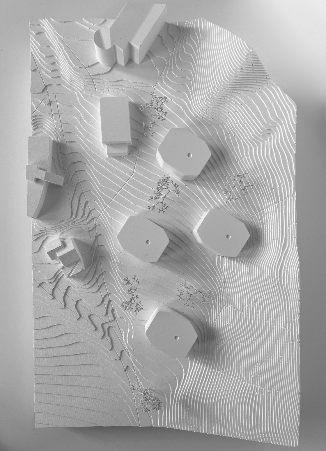 Ein Foto von Berktold Weber Architekten ZT GmbH