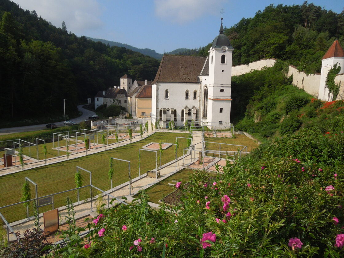 Ein Foto von Marktgemeinde Schönbühel-Aggsbach