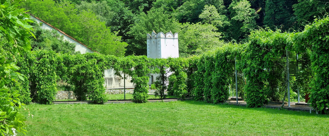 Ein Foto von land.schafft©