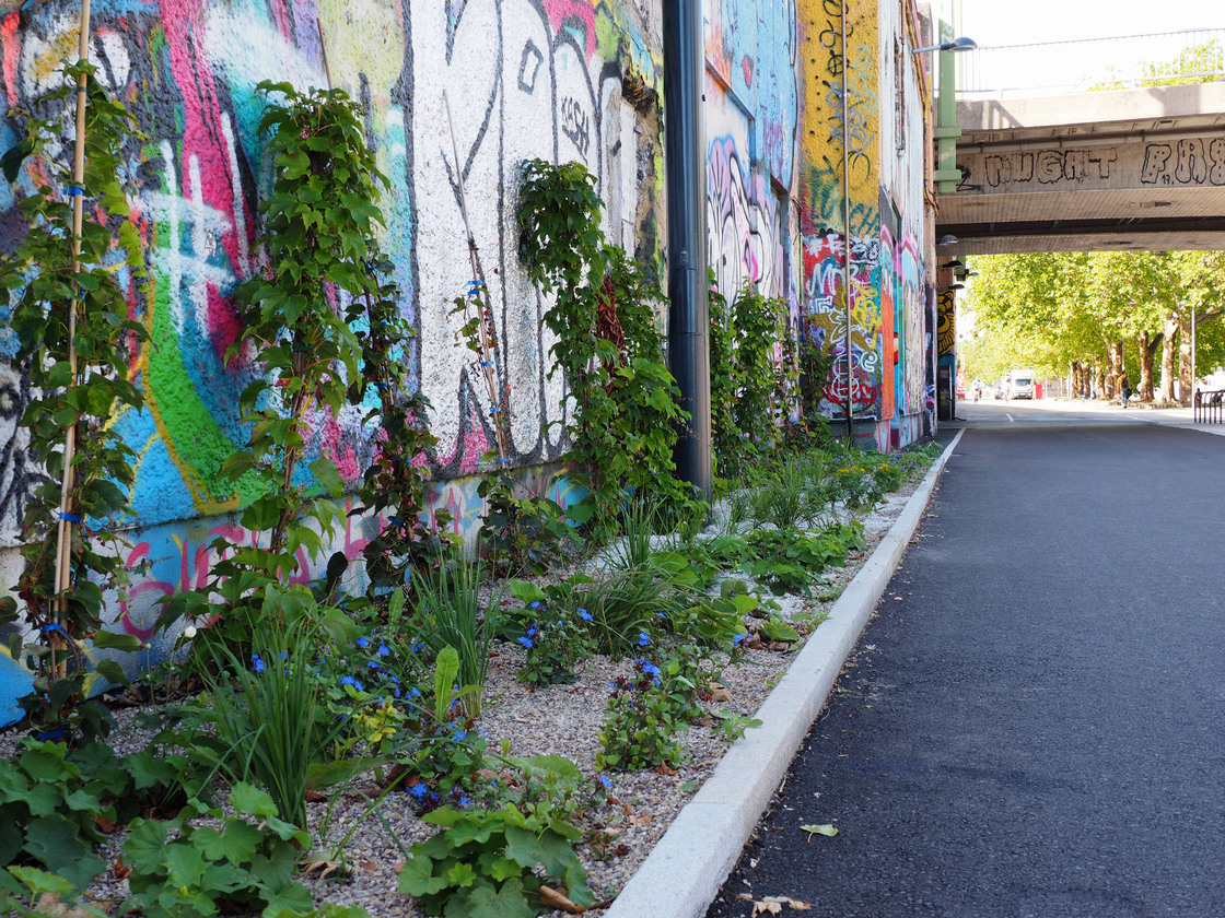 Ein Foto von Romana Graf