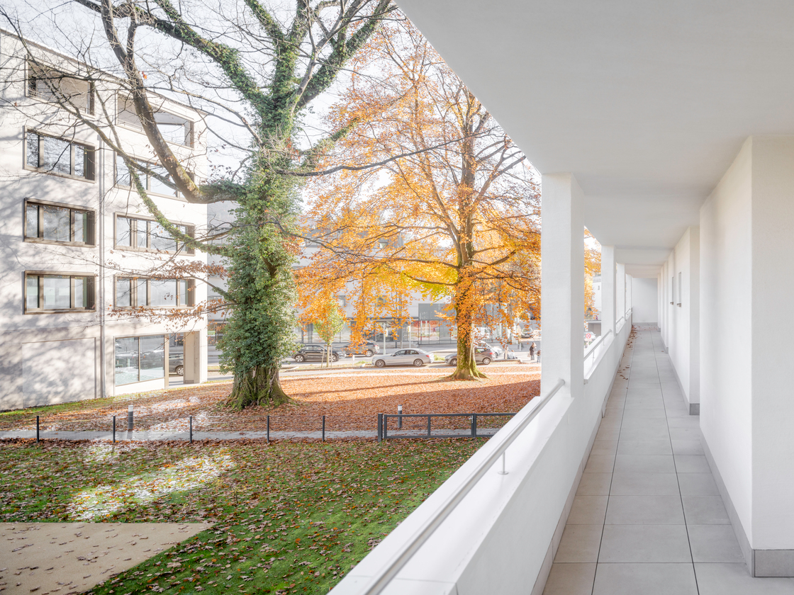 Ein Foto von Dominic Kummer