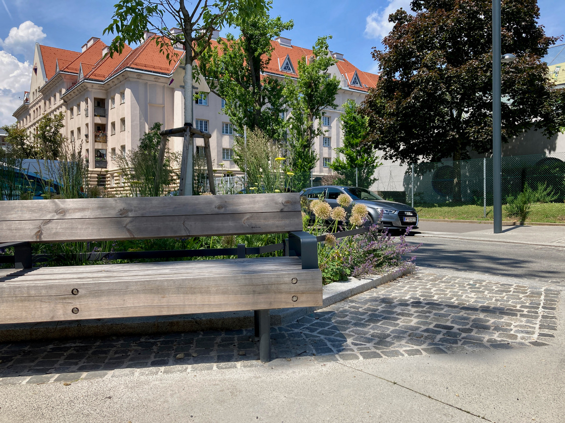 Ein Foto von Sarah Holler