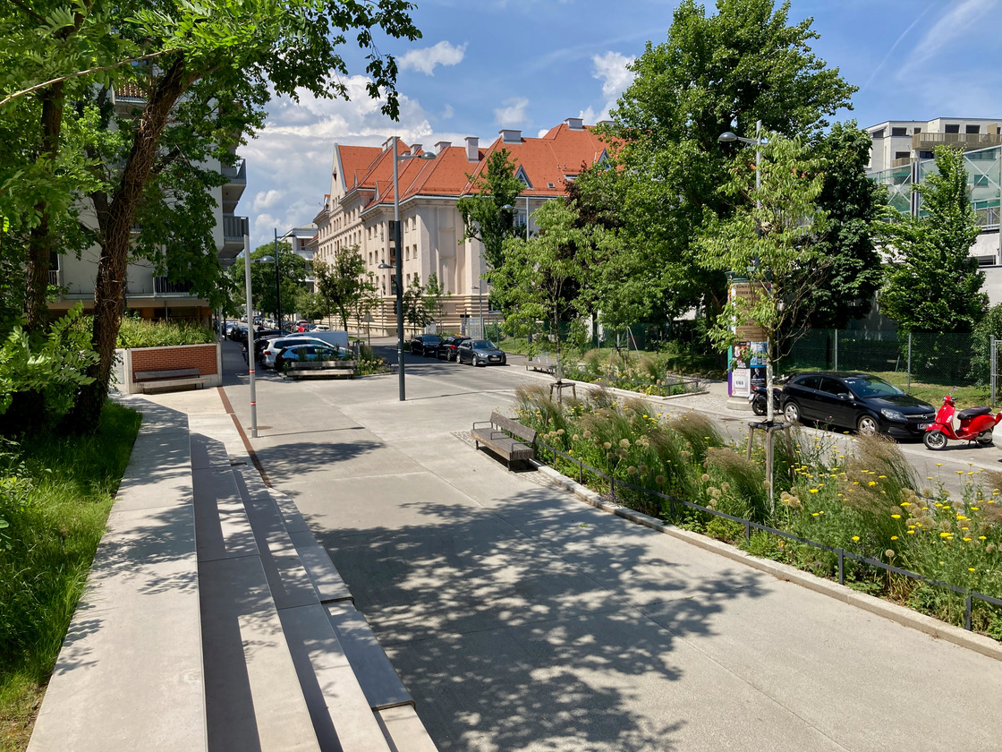 Ein Foto von Sarah Holler
