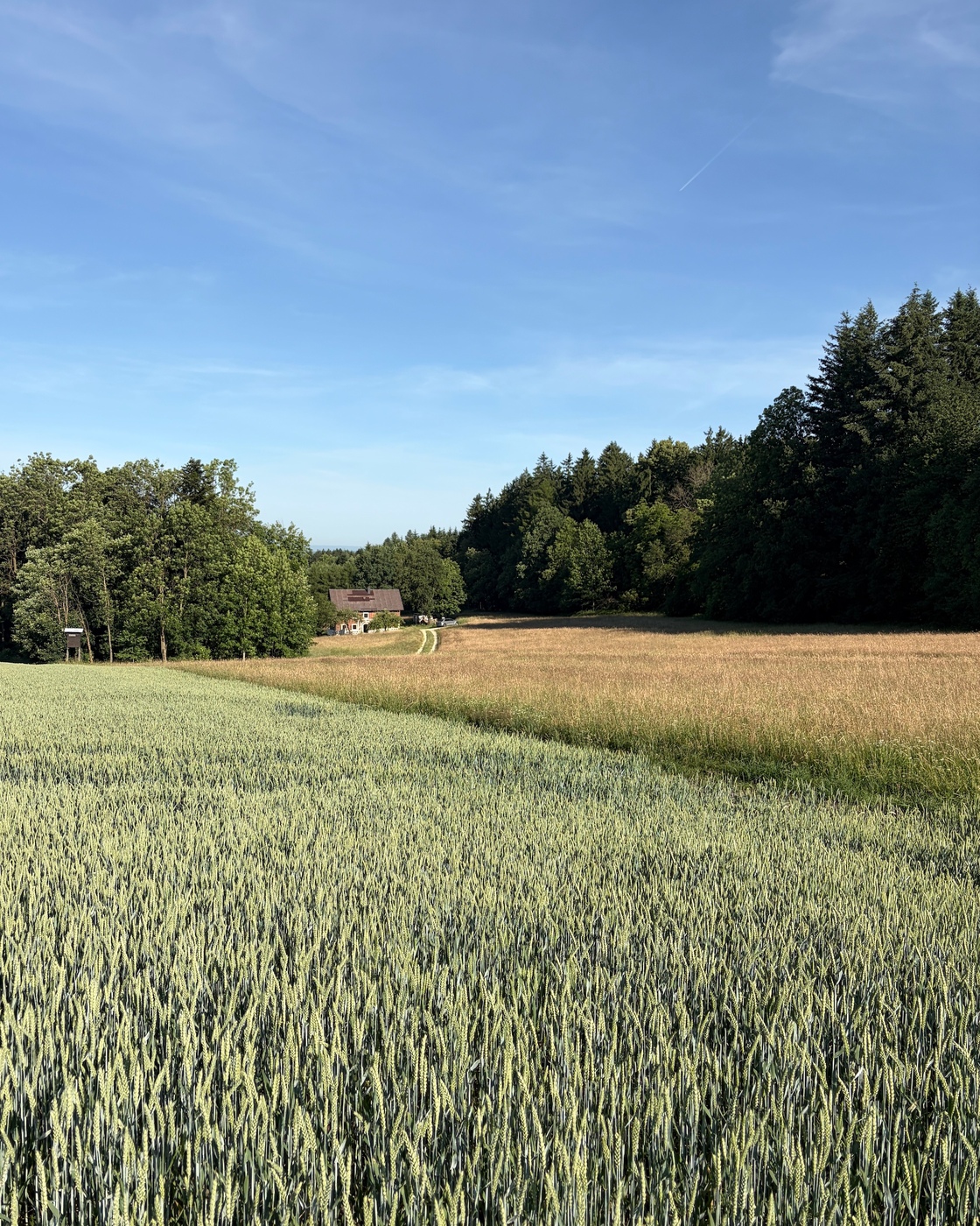 Ein Foto von Paul Teichmann