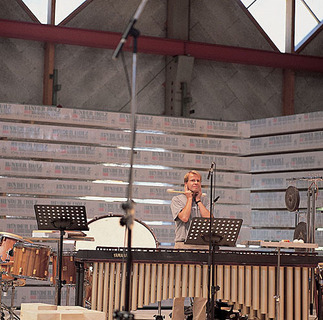 Temporärer Konzertsaal, Foto: Markus Bstieler