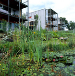 Bauen in der Gruppe - 3 Einfamilienhäuser Messendorfberg, Foto: Raiffeisen Wohnbausparen
