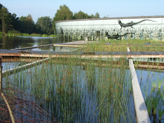 UnterWasserReich Ramsar-Zentrum Schrems, Foto: Prähofer Landschafts- und Gartenarchitektur