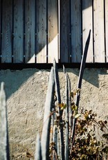 vineyard cottage „the house in front of the sun“, Foto: Rok Žnidaršič