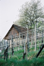 vineyard cottage „the house in front of the sun“, Foto: Rok Žnidaršič