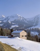 Einfamilienhaus Sutterlüty, Foto: Ignacio Martinez