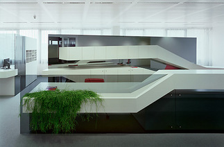 Büroausbau SCHIG, Foto: Rupert Steiner