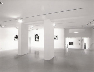 Galerie Freihausgasse, Foto: Johannes Kohlmeier