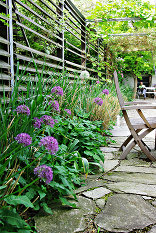 Garten G, Foto: Manfred Seidl