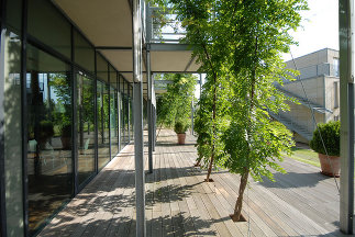 „Pflanzenhaus“ Schloss Eybesfeld, Foto: Architekturbüro Plottegg