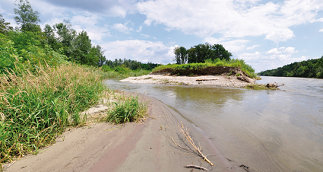 Muraufweitung Gosdorf, Foto: Peter Partl