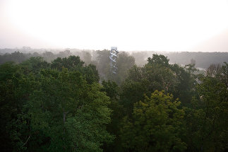 Aussichtsturm an der Mur, Foto: Hubertus Hamm