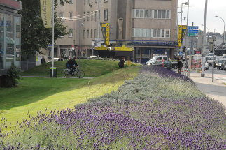 Rosa Mayreder-Park, Foto: Gernot Dessovic