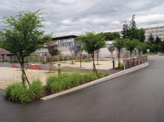 ELKI Platz, Foto: idealice Landschaftsarchitektur ZT