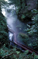 Termas Geometricas, Foto: Guy Wenborne