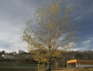 Biomass plant, Foto: András Nagy