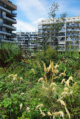 Karrée St. Marx, Foto: 3:0 Landschaftsarchitektur Gachowetz Luger Zimermann OG