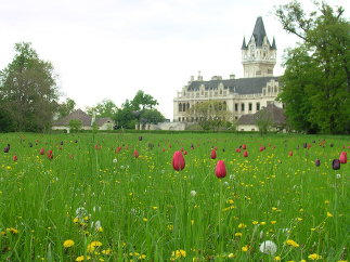 Schlosspark Grafenegg, Foto: Land in Sicht