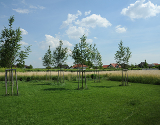 Garten UuK, Foto: Gernot Dessovic