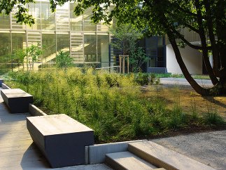 Geriatriezentrum Liesing Freiraum, Foto: 3:0 Landschaftsarchitektur Gachowetz Luger Zimermann OG