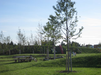 Dr. Berta-Gauster-Park, Foto: Karl Grimm